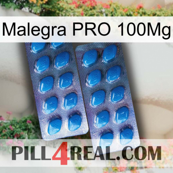 Malegra PRO 100Mg viagra2.jpg